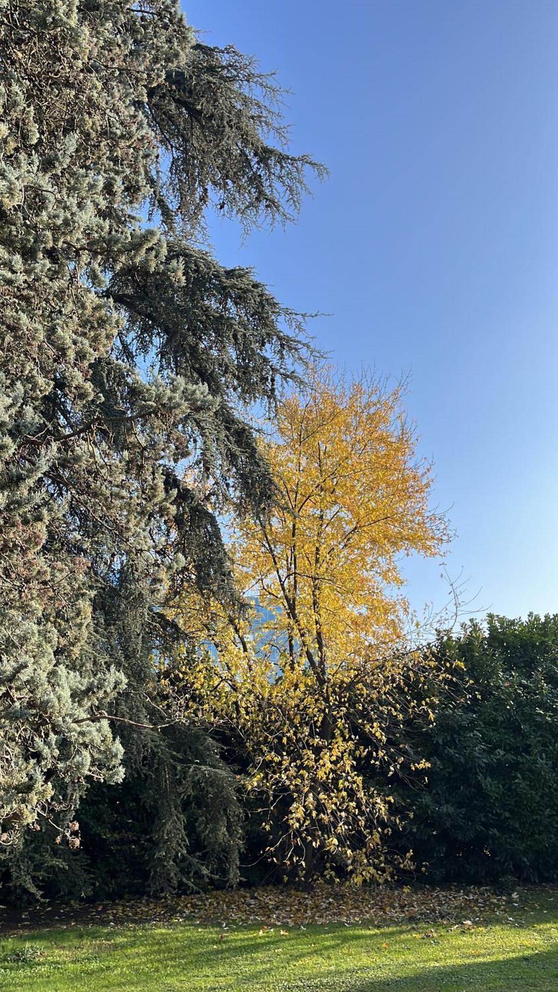 Acero Giallo 파르마 외부 사진